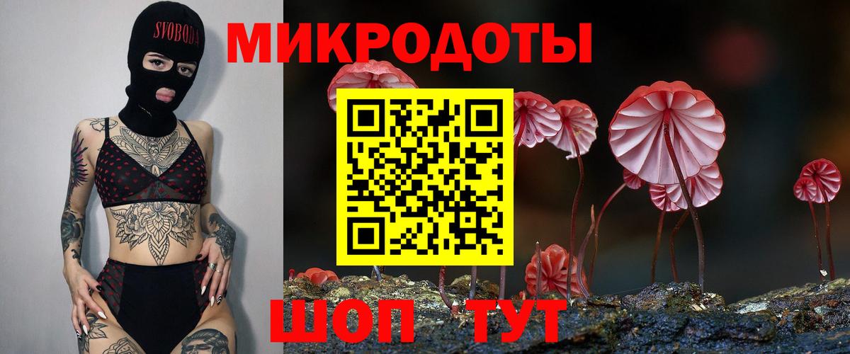 Сызрань  Псилоцибиновые грибы Cubensis  Вход с VPN 
