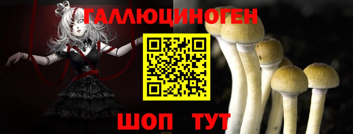 Галлюциногенные грибы GOLDEN TEACHER Сызрань